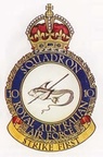 10-Squadron