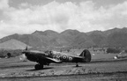Highlight for Album: 450 Squadron Kittyhawks