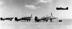 Line-up of Hurricane IICs being overflown by one of the Typhoon Mk IBs