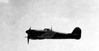 Typhoon IB in flight.