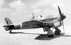 Typhoon Mk.Ib 