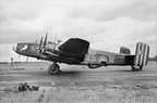 Handley Page Halifax 