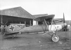 Highlight for Album: Albatros DIII and DVa