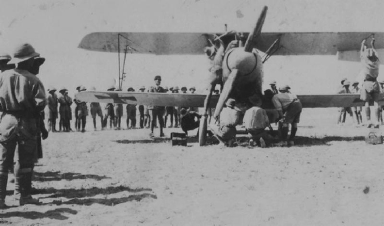 Albatross D.III D636/17 AWM Via Brendan Cowan