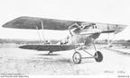 Pfalz D IIIA 8284/17 AWM P00355.020