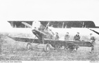 Pfalz D XII 4 Sqn AFC Bickendorf AWM P00355.016