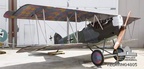 Pfalz D.XII 2600/18 AWM RELAWM04805