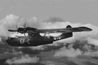 Highlight for Album: Consolidated Catalina