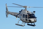 Squirrel-N22-001