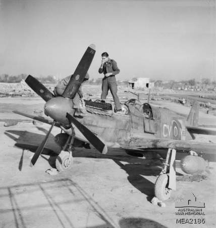 Mustang
Jesi, Italy. 
c. September 1944.