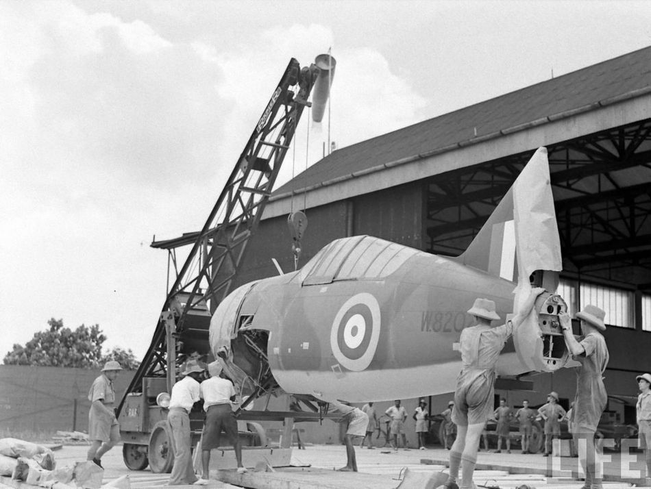 Brewster F2A Buffalo Serial Number W8202 RAAF 453 Squadron