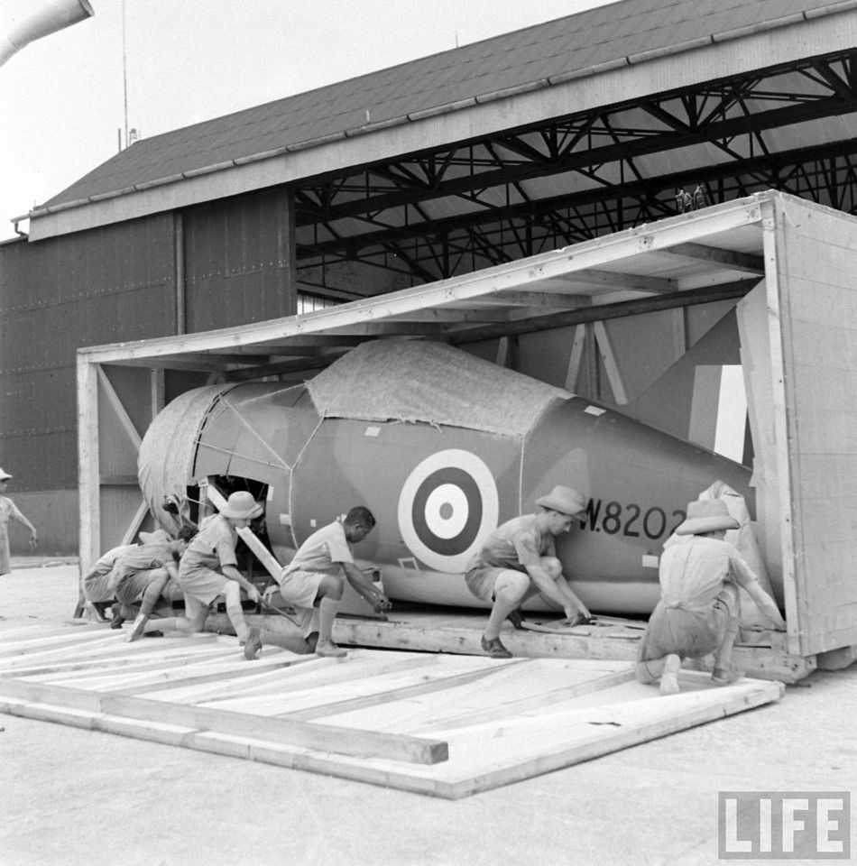 Brewster F2A Buffalo Serial Number W8202 RAAF 453 Squadron.