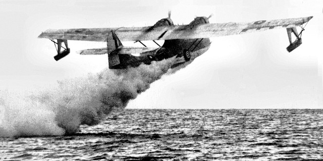 Highlight for Album: Catalina
                          A24-104