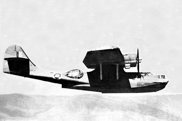 Catalina
                        A24-11 Album