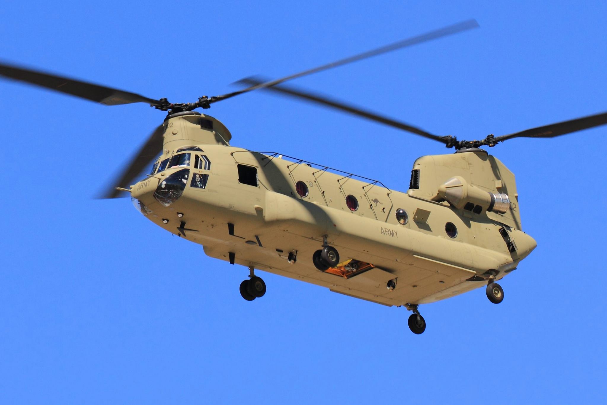 Highlight for Album: Chinook
                            A15-302