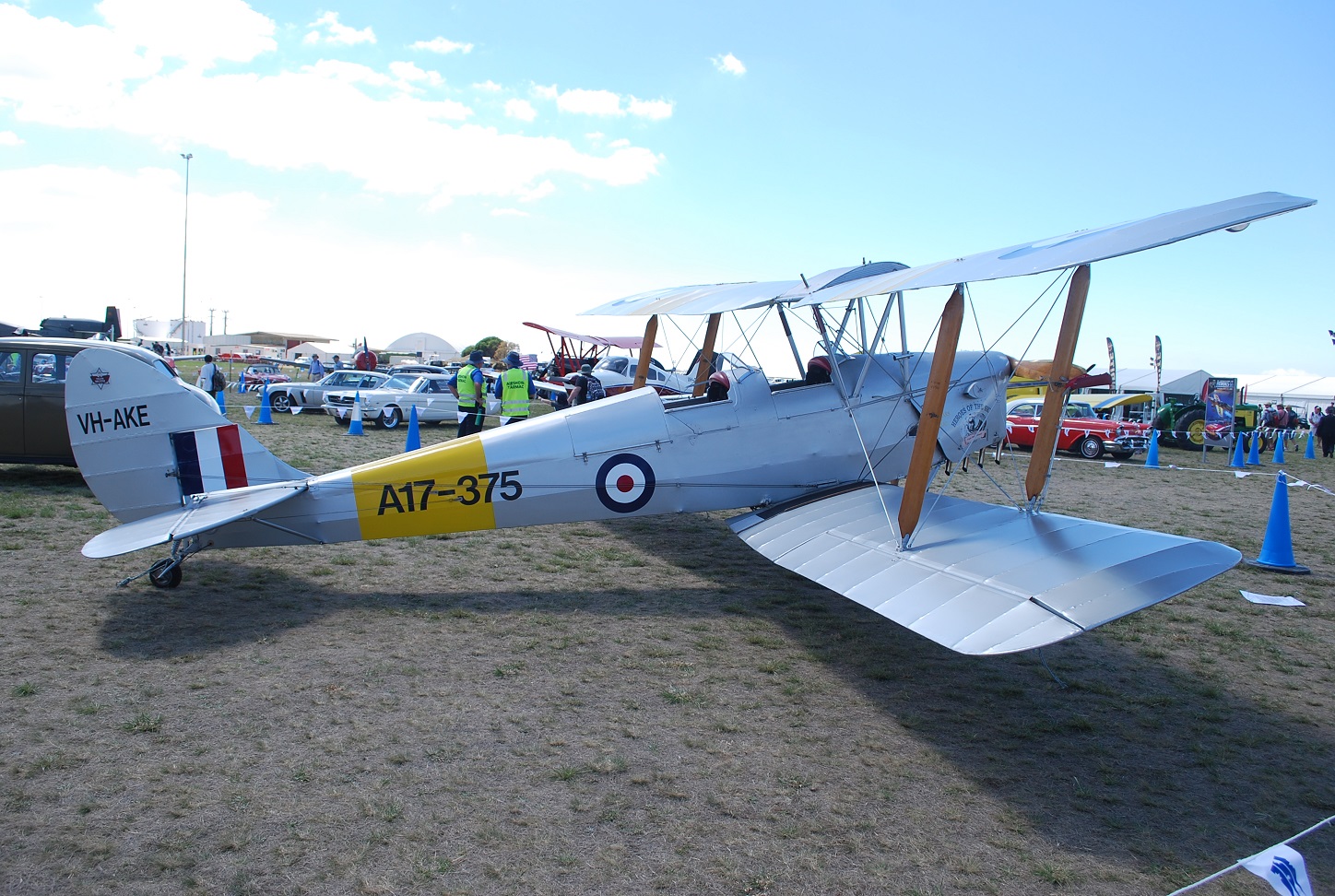 Tiger Moth
                                A17-375