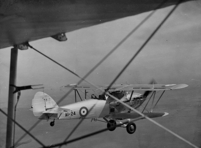 Highlight for Album: Hawker Demon                                A1-24