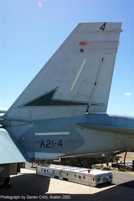 77 SqnThis black fin flash represents
                            No.77 Squadron. There is a Korean Lion (Hae
                            Tae) mascot on the fuselage side (also known
                            as a Grumpy Monkey). Based at RAAF
                            Williamtown, NSW.