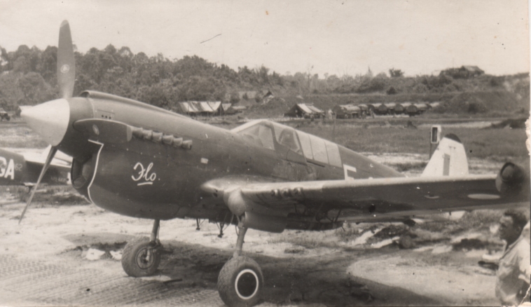 Highlight for Album: Kittyhawk
                            A29-1005