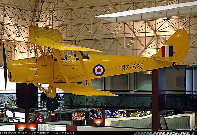 Tiger Moth NZ1481
 as NZ825 
Wigram 
18th April 2006
Photo by George Canciani