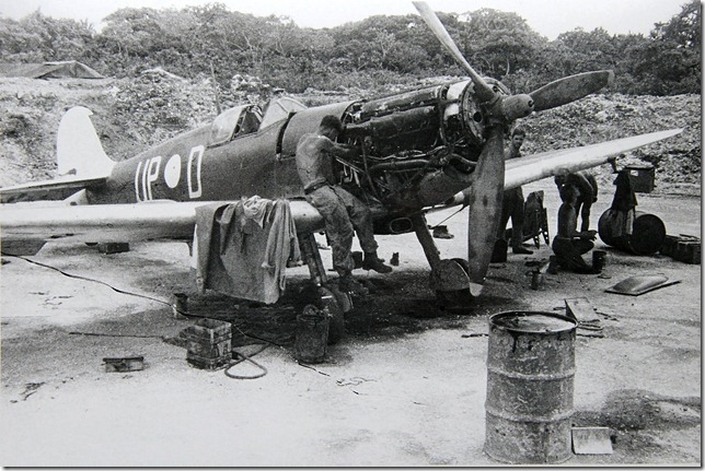 Highlight for Album:
                              Spitfire A58-185