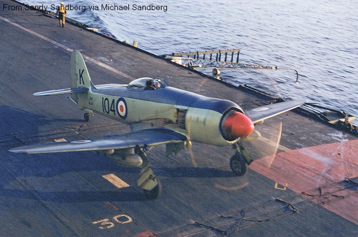 Sea
                  Fury 104