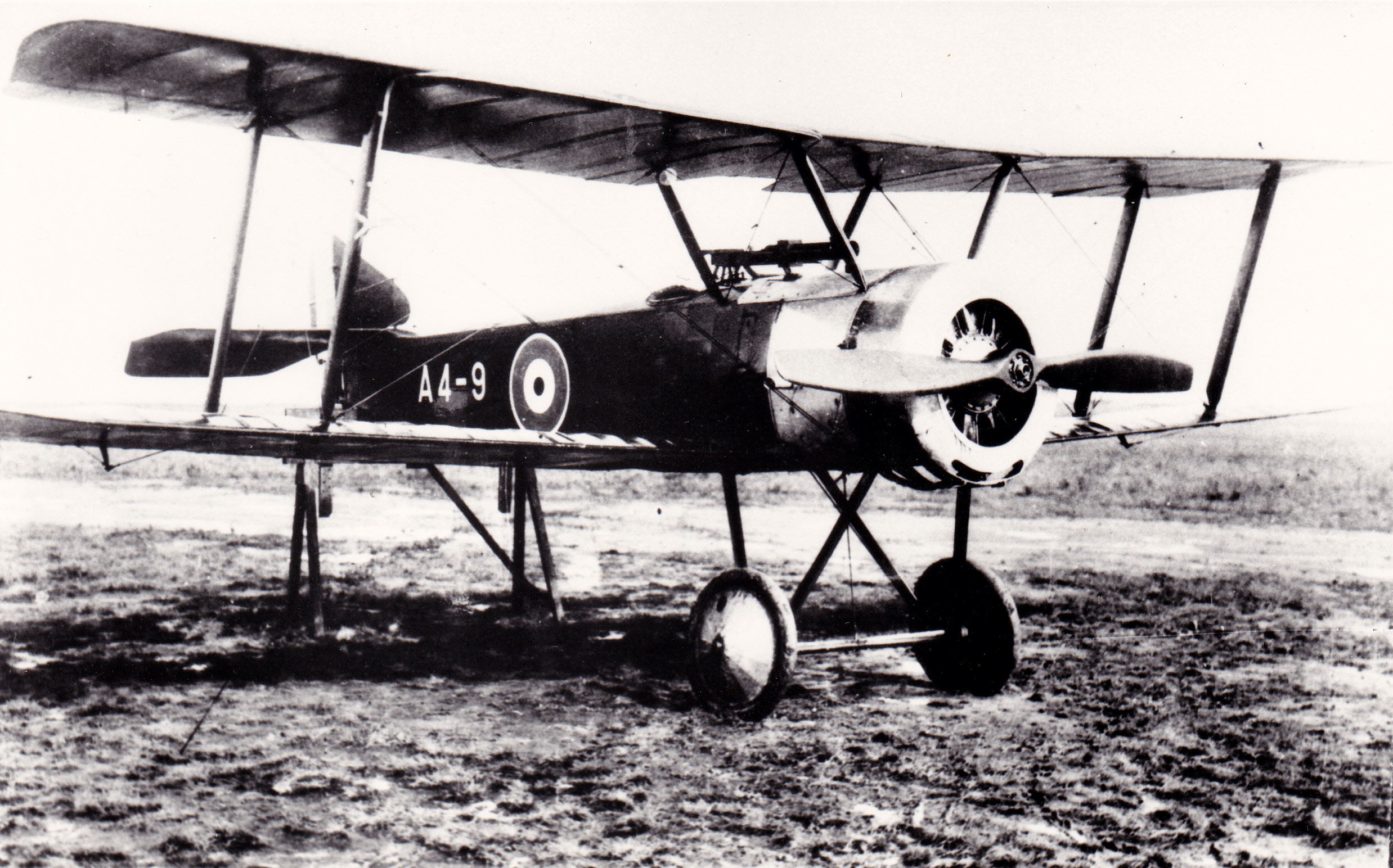 Highlight for album: Sopwith Pup