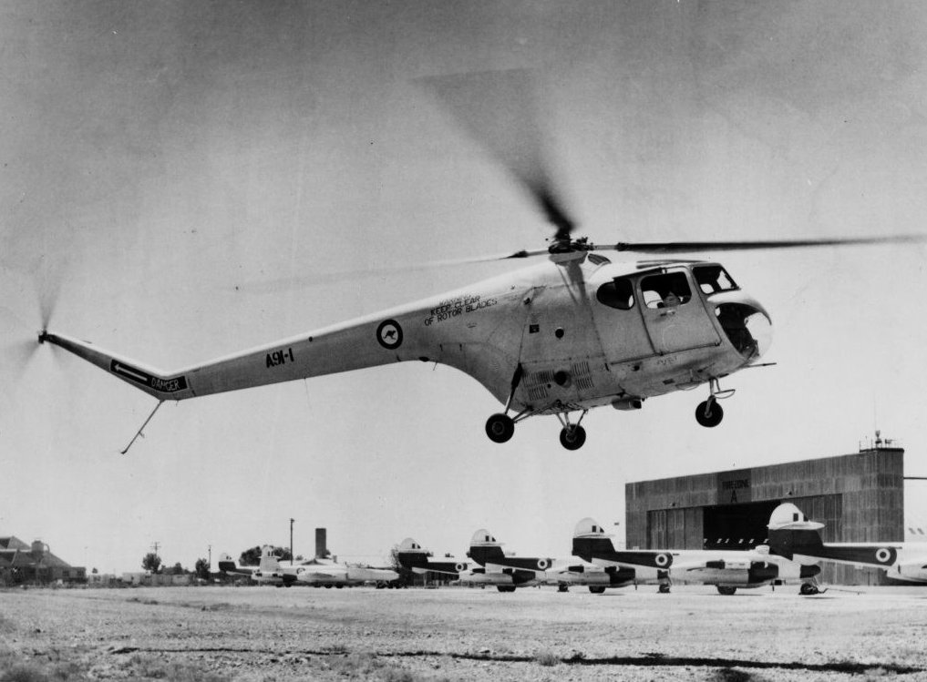 Sycamore A91-1